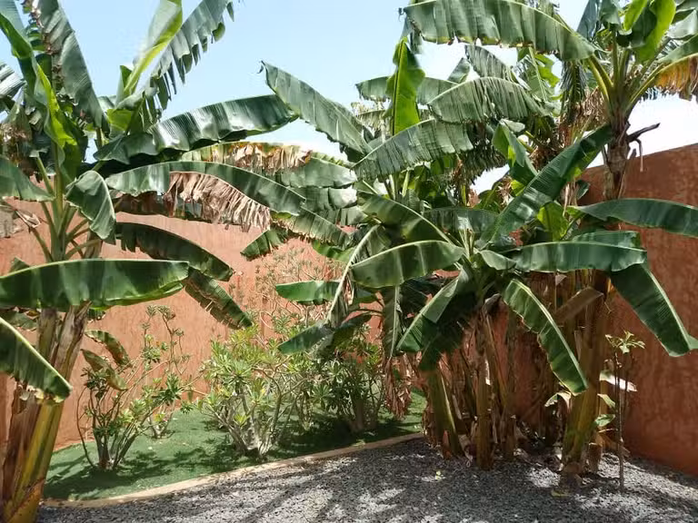 Villa Nguérigne - 4 bedrooms - 180m²