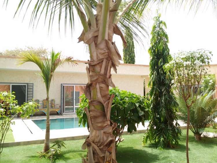 Villa Nguérigne