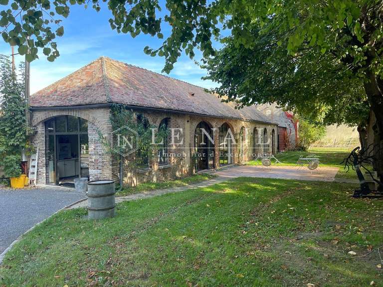 Manoir Sens - 15 chambres - 620m²