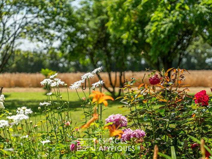 House Sepmes - 6 bedrooms