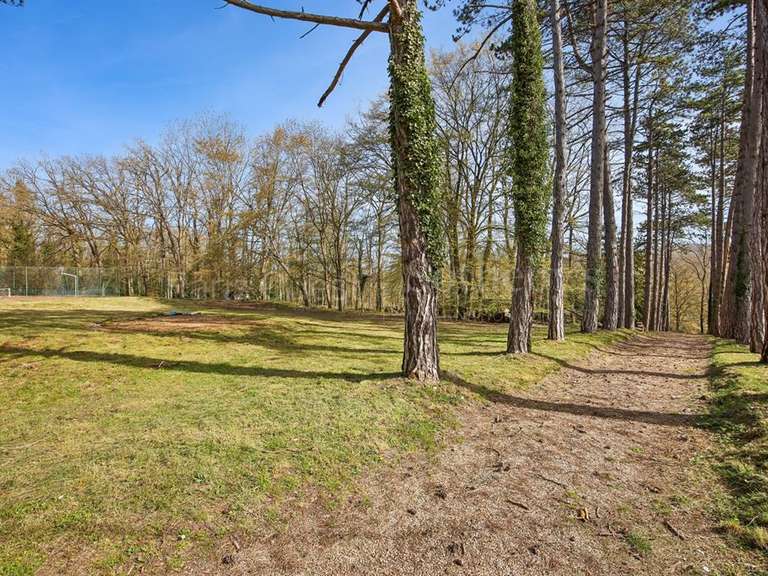 Maison Septeuil - 6 chambres - 370m²