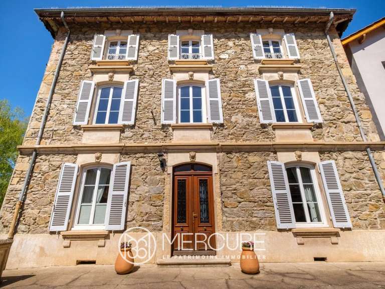 Propriété Sérézin-du-Rhône - 6 chambres - 332m²
