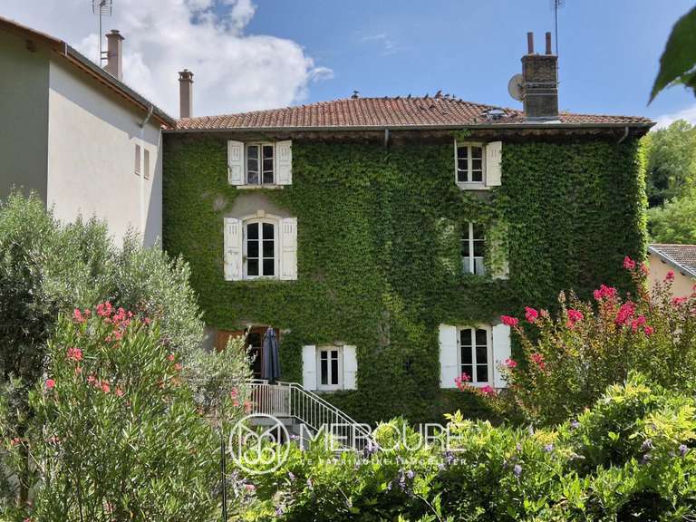 Propriété Sérézin-du-Rhône - 6 chambres - 332m²
