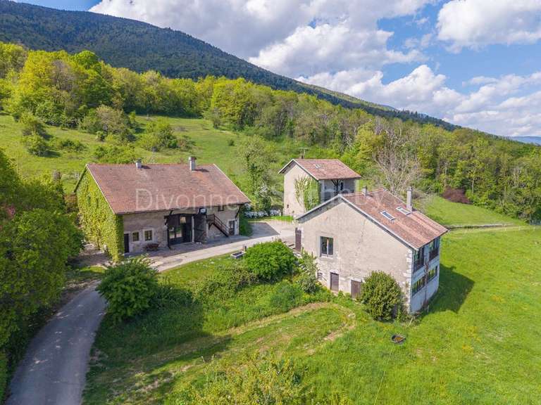 Moulin Sergy - 6 chambres - 400m²