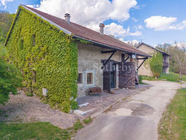Moulin Sergy - 6 chambres - 400m²