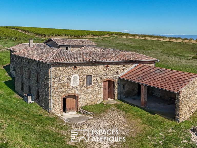 Maison Serves-sur-Rhône - 4 chambres - 820m²