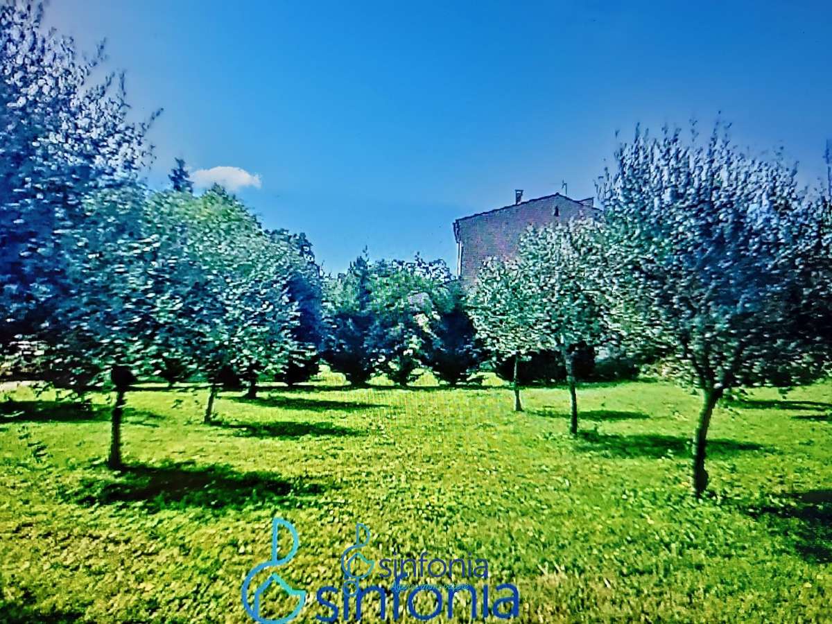 House Serviers-et-Labaume