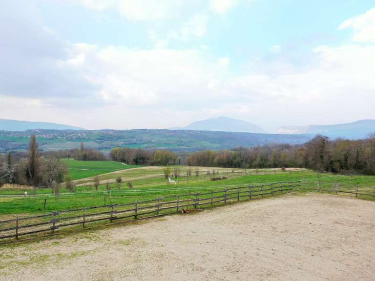 Maison Seyssel - 270m²