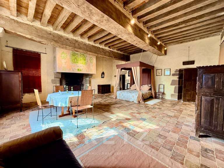 Castle Sillé-le-Guillaume - 7 bedrooms - 460m²