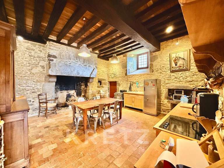 Castle Sillé-le-Guillaume - 7 bedrooms - 460m²