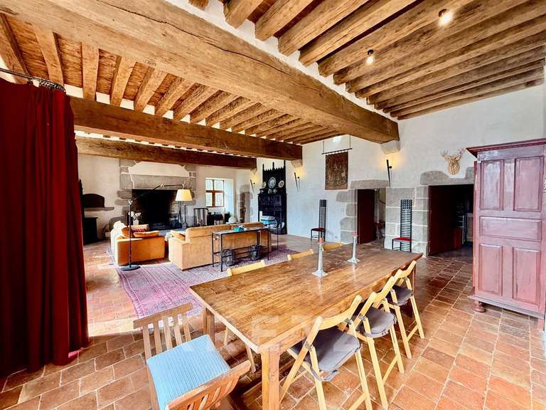 Castle Sillé-le-Guillaume - 7 bedrooms - 460m²
