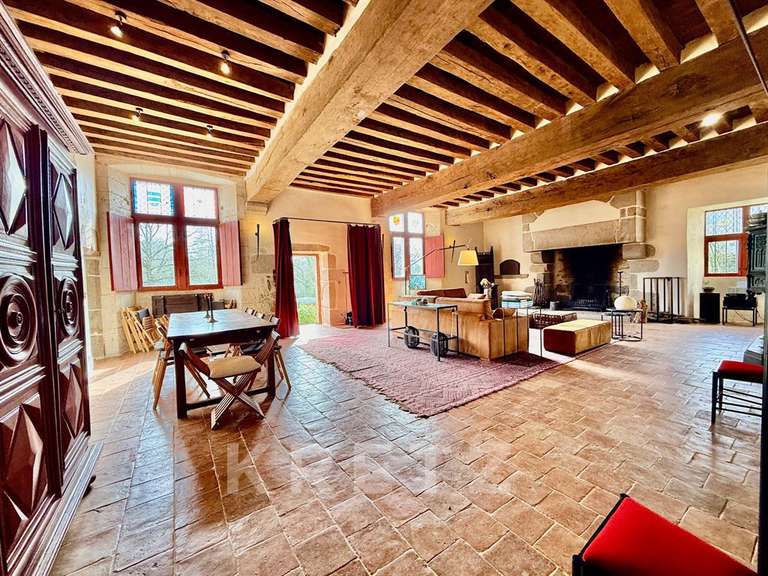Castle Sillé-le-Guillaume - 7 bedrooms - 460m²