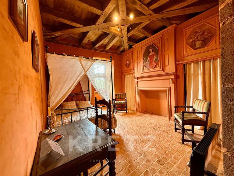 Castle Sillé-le-Guillaume - 7 bedrooms - 460m²