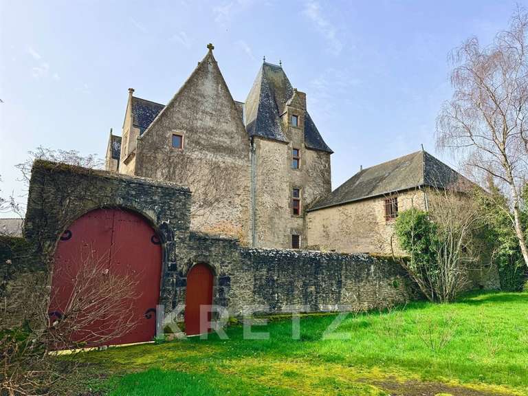 Castle Sillé-le-Guillaume - 7 bedrooms - 460m²