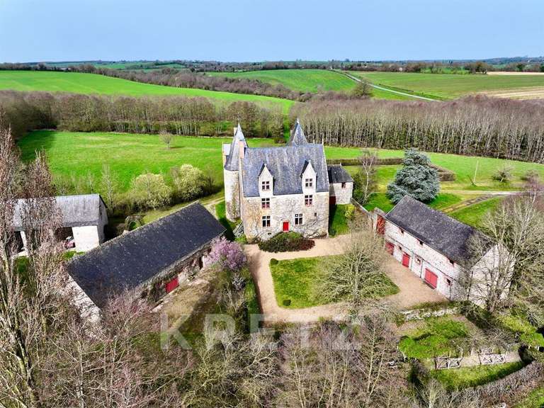 Castle Sillé-le-Guillaume - 7 bedrooms - 460m²