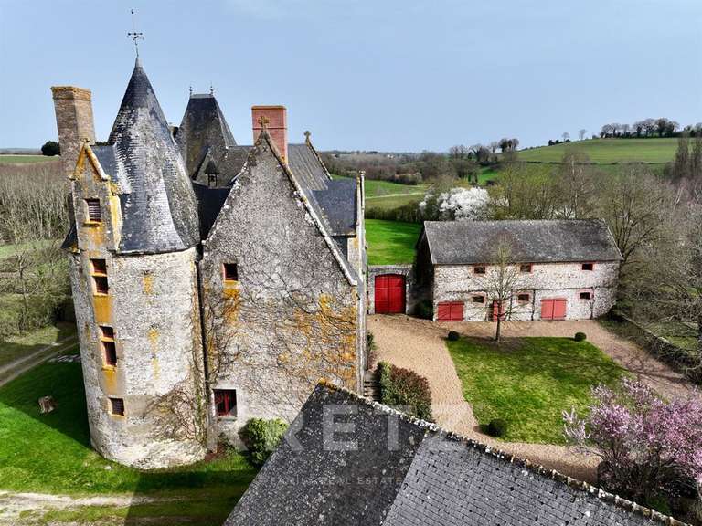 Castle Sillé-le-Guillaume - 7 bedrooms - 460m²