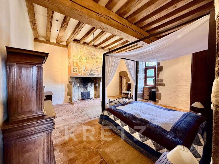 Castle Sillé-le-Guillaume - 7 bedrooms - 460m²