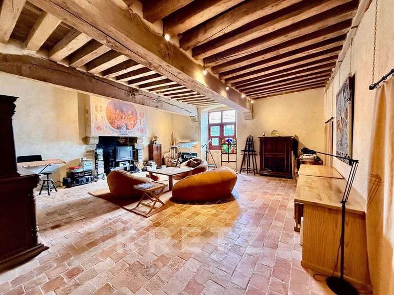 Castle Sillé-le-Guillaume - 7 bedrooms - 460m²