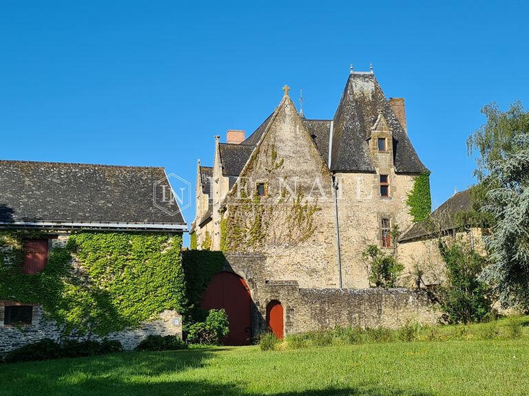Manoir Sillé-le-Guillaume - 8 chambres - 450m²