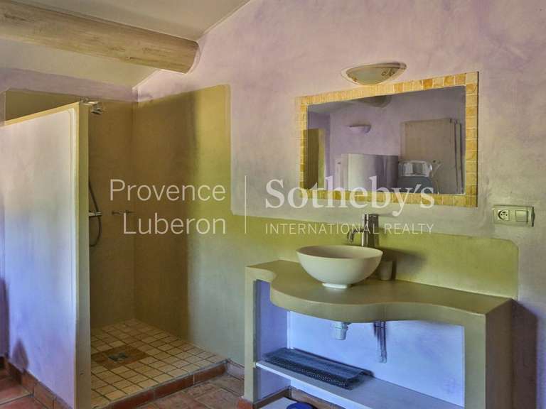 House Simiane-la-Rotonde - 11 bedrooms - 522m²
