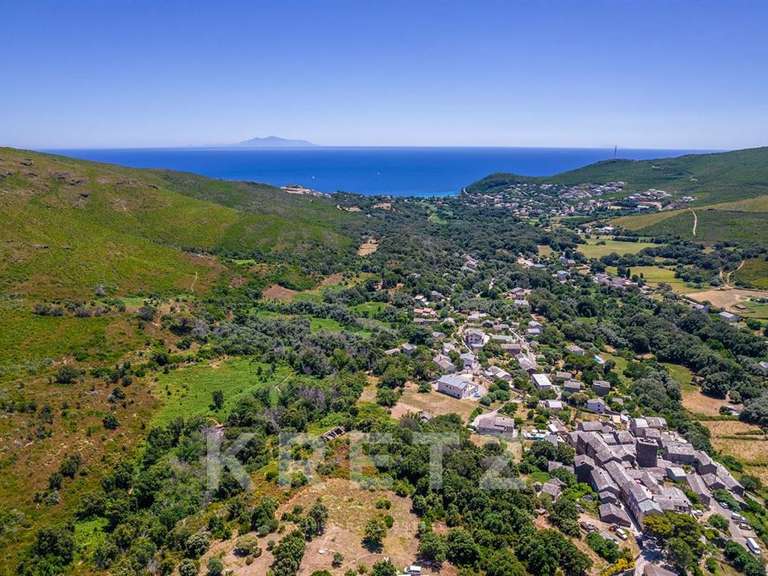 Maison Sisco - 4 chambres - 254m²