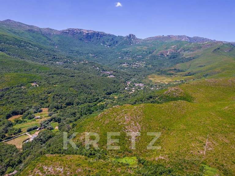 Maison Sisco - 4 chambres - 254m²