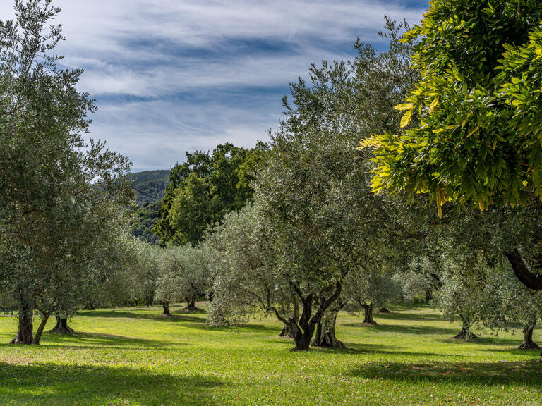 Maison Sisteron - 6 chambres - 311m²