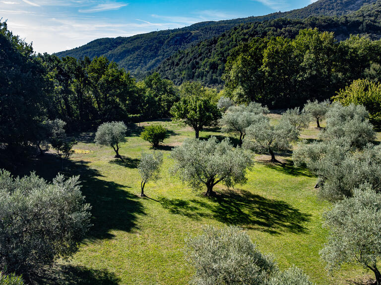 Maison Sisteron - 6 chambres - 311m²