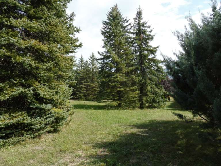 Maison Sisteron - 4 chambres - 270m²