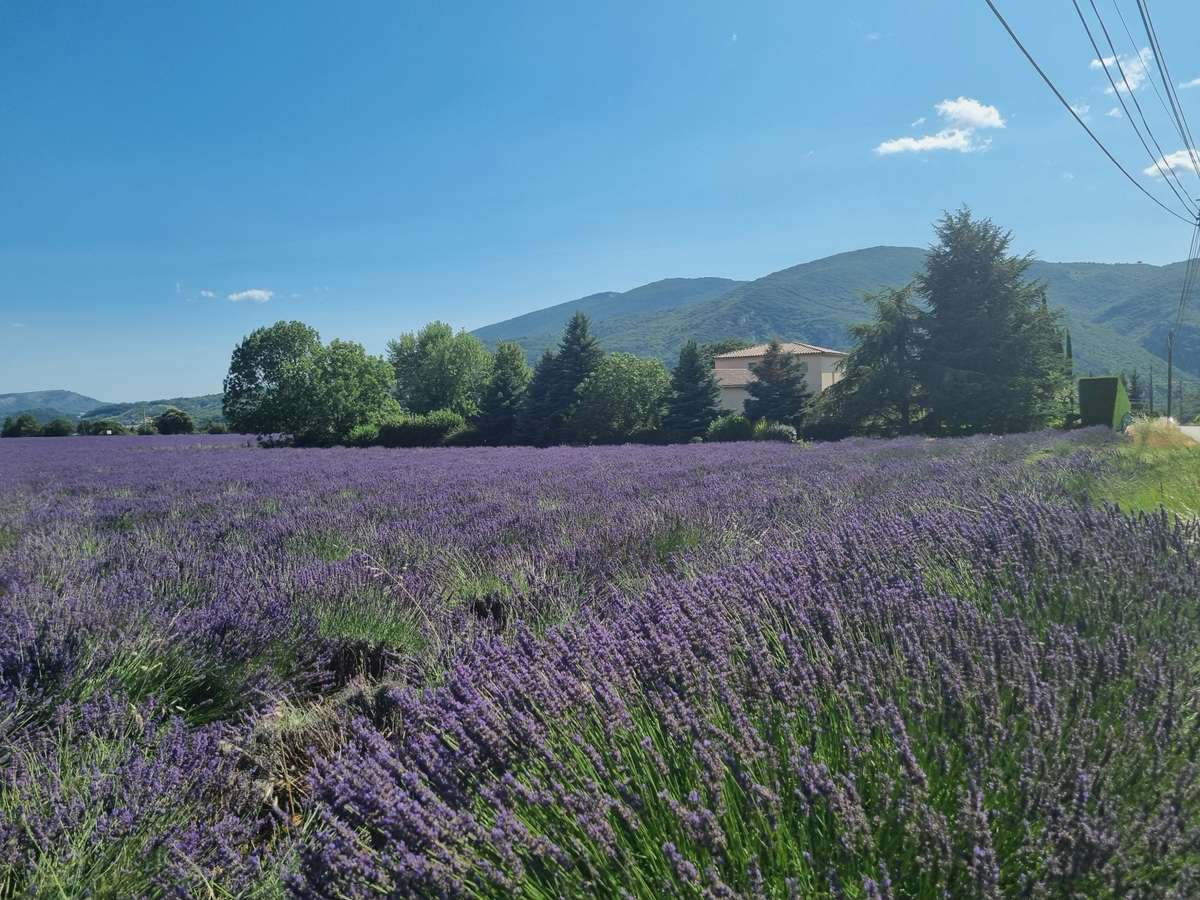 Maison Sisteron
