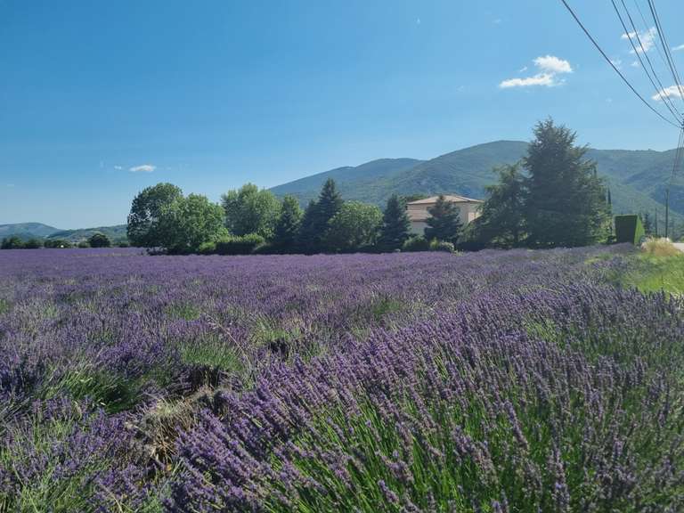 Maison Sisteron - 4 chambres - 215m²