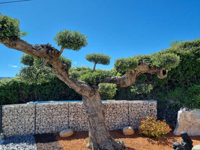 Villa Sisteron - 4 bedrooms - 155m²