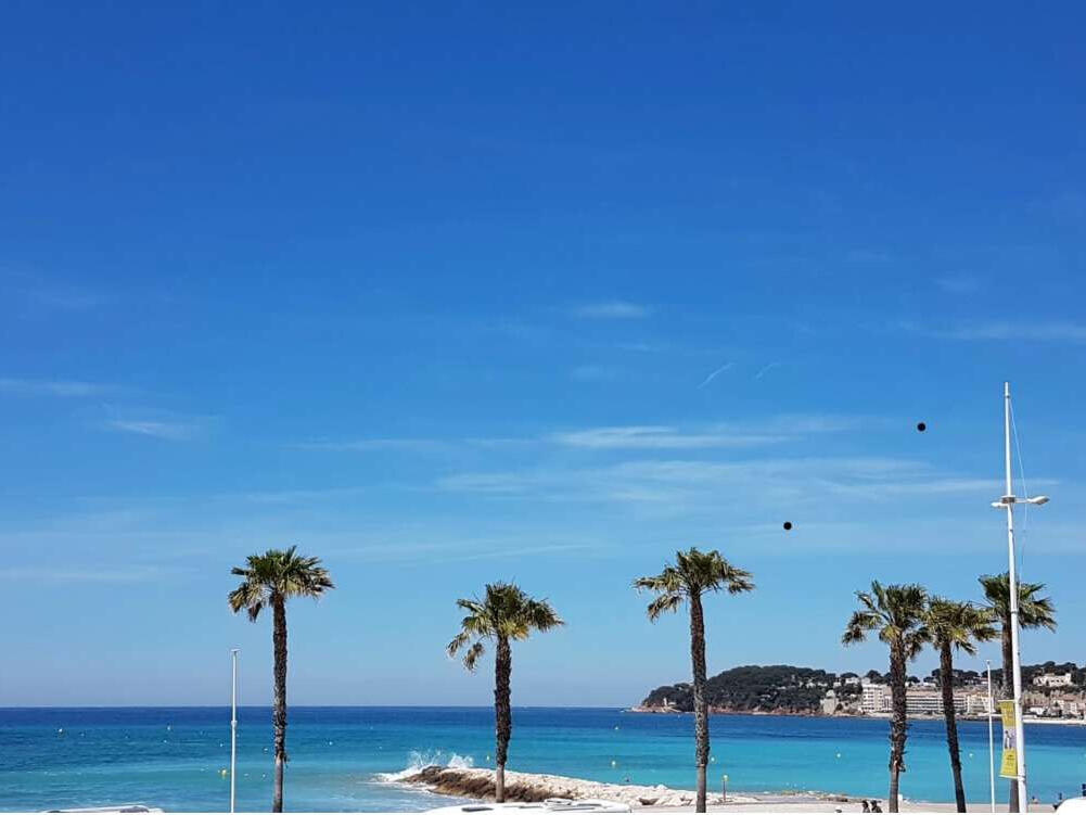 House Six-Fours-les-Plages