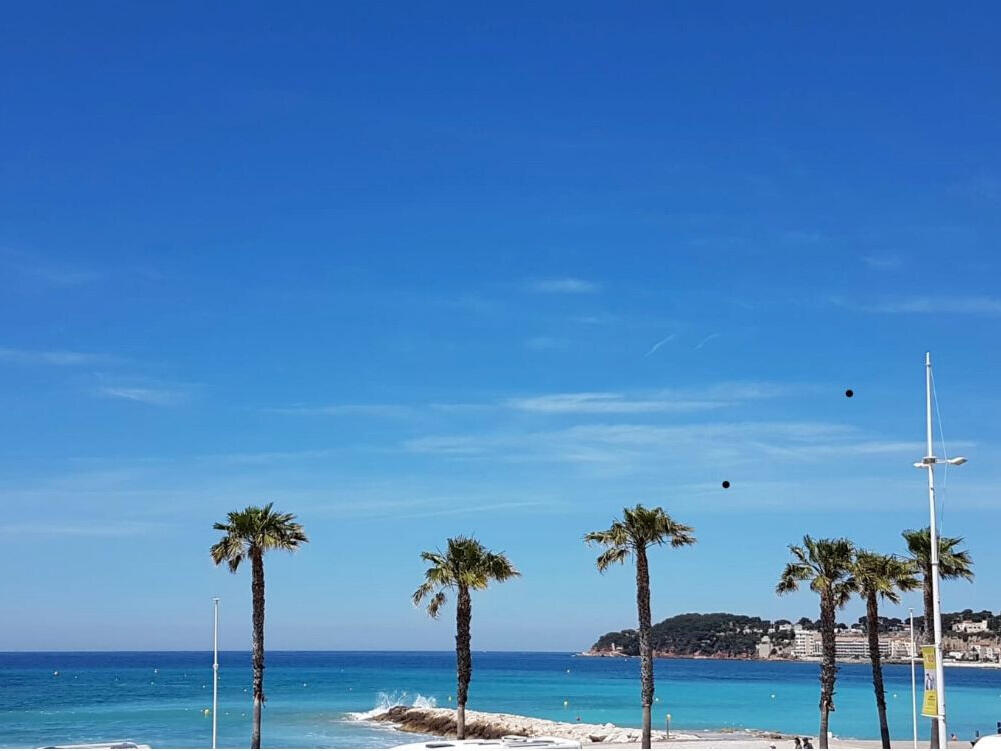 House Six-Fours-les-Plages