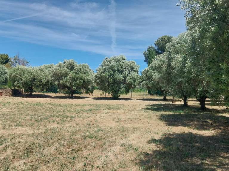 Maison Six-Fours-les-Plages - 2513m²