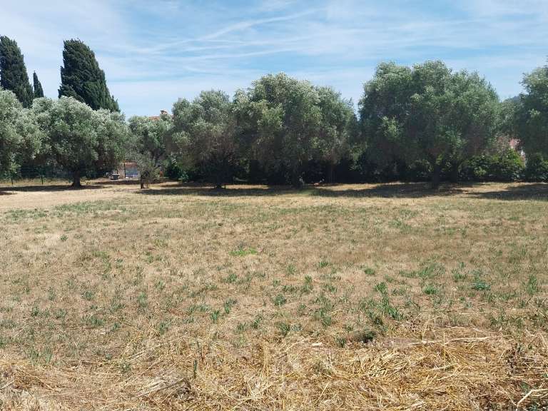 Maison Six-Fours-les-Plages - 2513m²