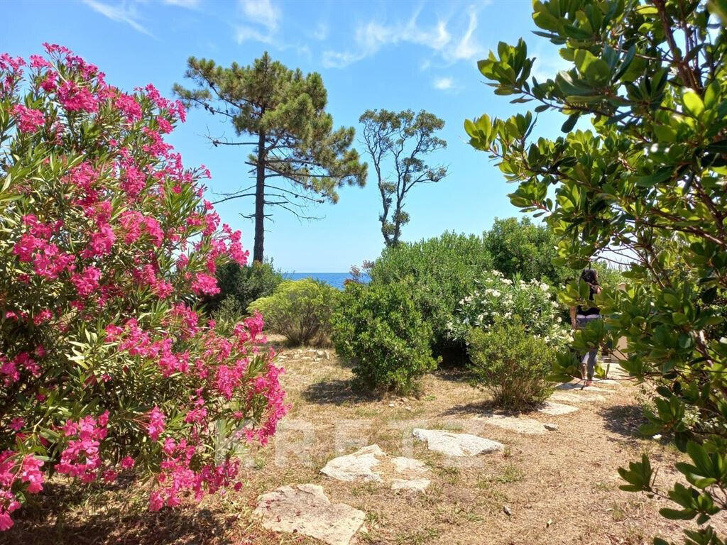 Maison Solenzara