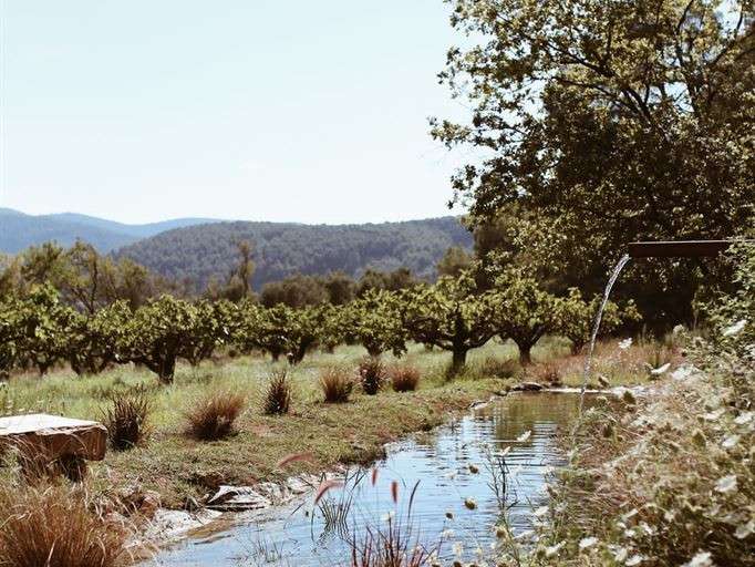 Château Solliès-Pont - 10 chambres - 700m²