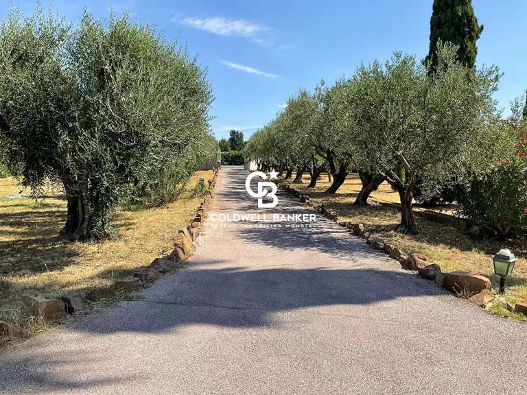 Maison Solliès-Pont - 6 chambres - 430m²