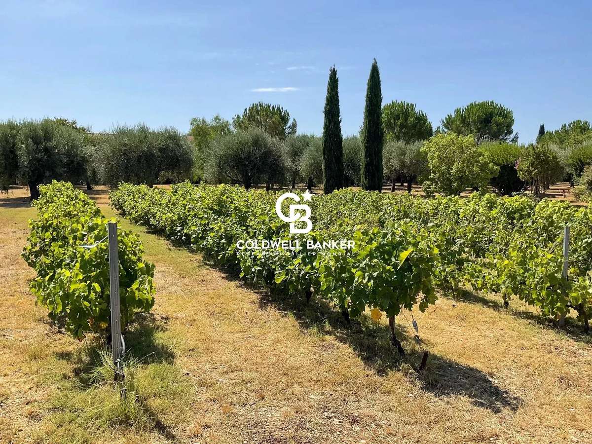 Maison Solliès-Pont