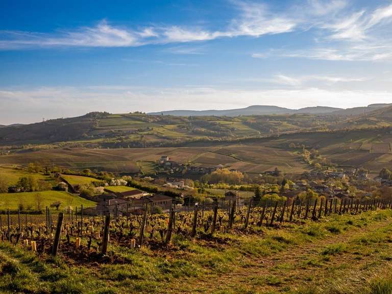 House Solutré-Pouilly - 6 bedrooms - 350m²