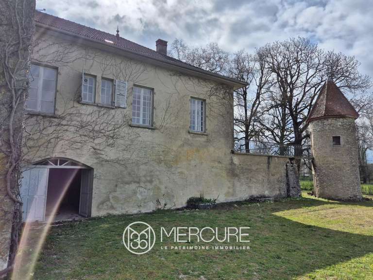 Propriété Sonthonnax-la-Montagne - 8 chambres - 406m²