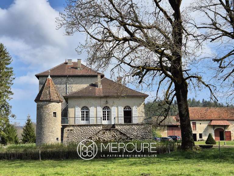 Propriété Sonthonnax-la-Montagne - 8 chambres - 406m²