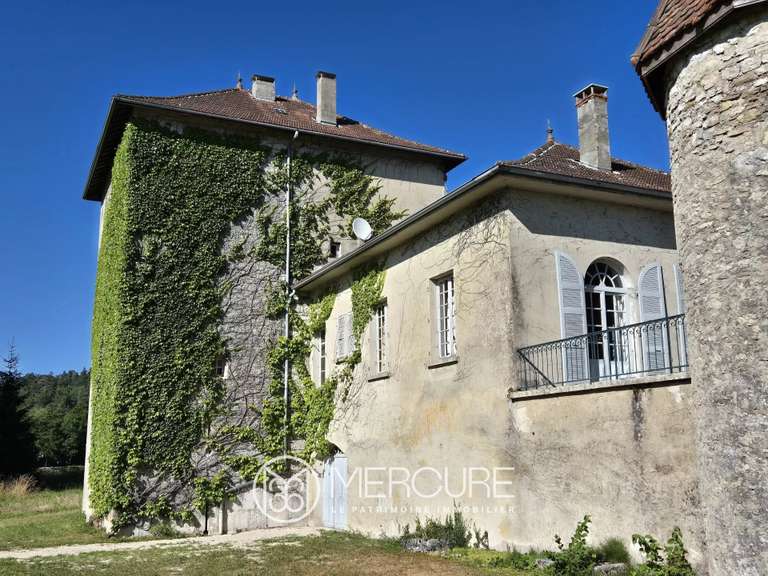 Propriété Sonthonnax-la-Montagne - 8 chambres - 406m²