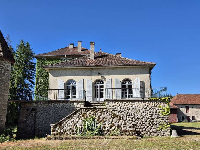 Propriété Sonthonnax-la-Montagne - 8 chambres - 406m²