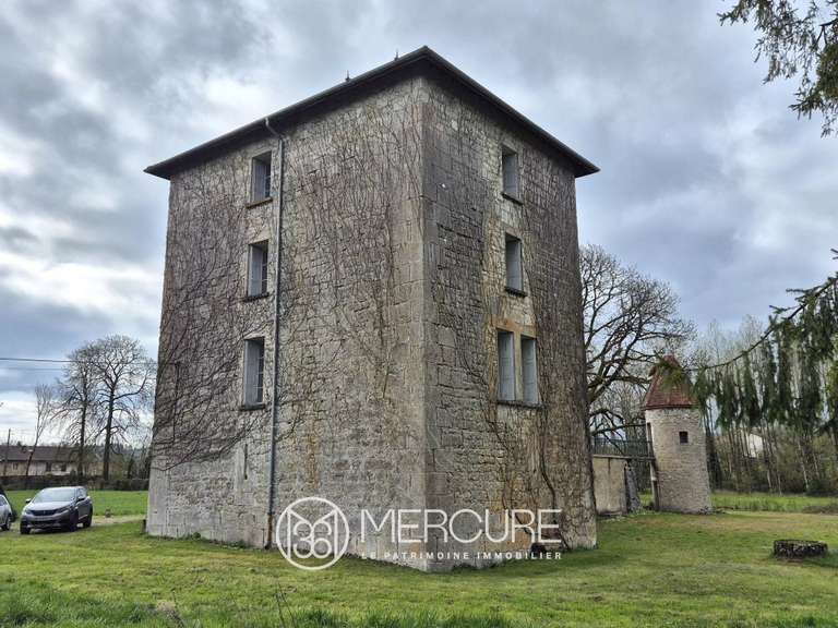 Propriété Sonthonnax-la-Montagne - 8 chambres - 406m²