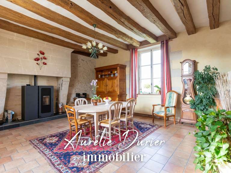 Maison Sonzay - 4 chambres - 346m²