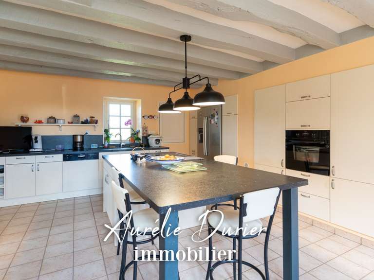 Maison Sonzay - 4 chambres - 346m²