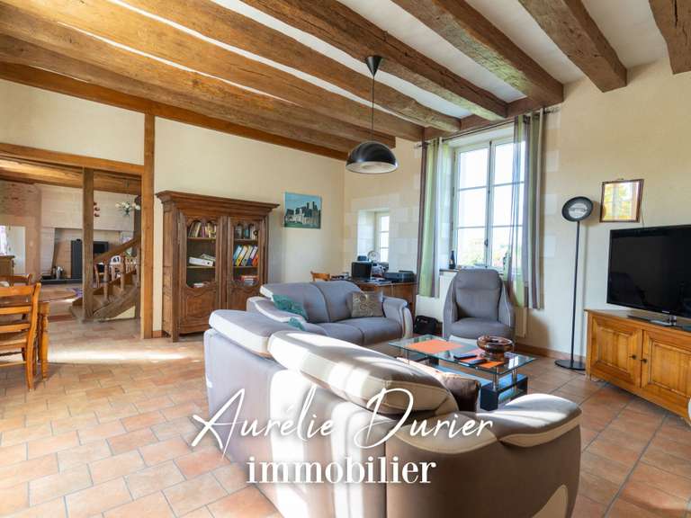 Maison Sonzay - 4 chambres - 346m²