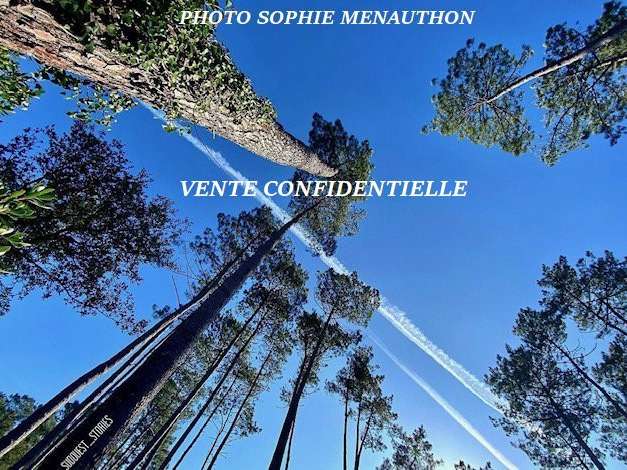 Appartement Soorts-Hossegor - 4 chambres - 192m²